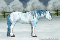 Horse Color:Watercolor Brown Ice Splash Tobiano Appaloosa 