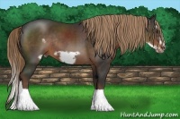 Horse Color:Liver Chestnut Sabino Splash Frame Rabicano