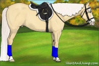 Horse Color:Silver Amber Cream Champagne Dun Sabino Splash Frame 