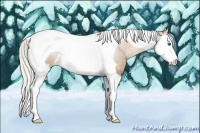 Horse Color:Silver Black Pearl Splash Tobiano