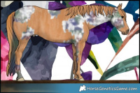 Horse Color:Nacre Black Ice Brindle