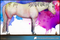 Horse Color:Nacre Liver Red Dun Varnish
