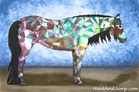 Horse Color:Bay Rabicano