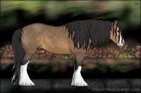 Horse Color:Brown Dun Splash 