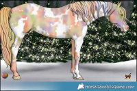 Horse Color:Nacre White Spotted Chestnut Pearl 