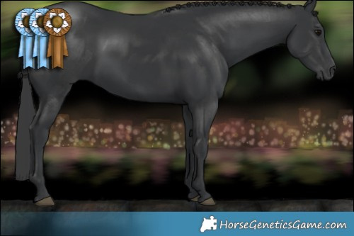 Horse Color:White Spotted Black  Brindle