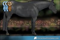 Horse Color:White Spotted Black Brindle