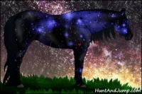 Horse Color:ERROR: UNKNOWN ANOMALY Brindle