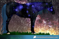 Horse Color:ERROR: UNKNOWN ANOMALY Brindle