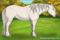 Horse Color:Perlino Sabino Brindle