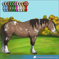 Horse Color:White Spotted Liver Red Dun Splash 