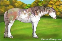 Horse Color:Nacre Black Pearl Sabino