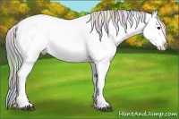 Horse Color:Nacre Watercolor Brown Ice Dun Appaloosa  Brindle