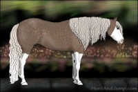 Horse Color:Silver Black Splash 