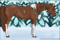 Horse Color:Chestnut Tobiano 