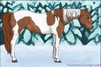 Horse Color:Chestnut Tobiano 