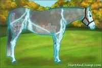 Horse Color:Thunderstruck Buckskin Ice Splash 