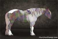 Horse Color:Nacre Silver Black Sabino Tobiano 