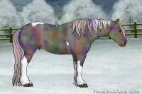 Horse Color:Nacre Silver Black Tobiano