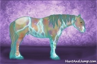 Horse Color:Nacre Thunderstruck Liver Chestnut Pearl Sabino