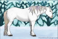 Horse Color:Nacre Liver Chestnut Tobiano Appaloosa