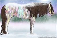 Horse Color:Liver Chestnut Ice 