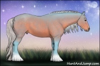 Horse Color:Watercolor Silver Bay Sabino 