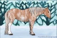Horse Color:White Spotted Silver Bay Ice Sabino