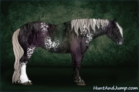 Horse Color:White Spotted Silver Black Ice Sabino 