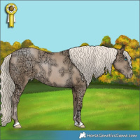Horse Color:Chocolate Palomino Ice Pearl