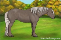 Horse Color:Silver Black 