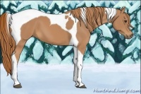 Horse Color:Chestnut Tobiano 