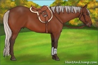 Horse Color:Silver Bay 