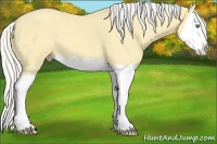 Horse Color:Silver Sable Cream Champagne Dun Splash 