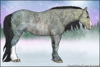 Horse Color:Brown Ice Rabicano