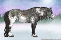 Horse Color:White Spotted Liver Chestnut Ice Sabino 