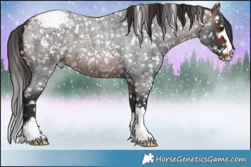 Horse Color:Brown Roan Snowflake Varnish