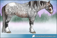 Horse Color:Brown Roan Snowflake Varnish
