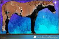 Horse Color:ERROR: UNKNOWN ANOMALY Brindle
