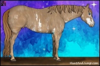 Horse Color:ERROR: UNKNOWN ANOMALY Brindle