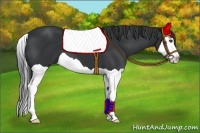 Horse Color:Black Splash