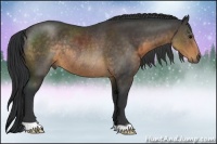 Horse Color:Buckskin Rabicano 