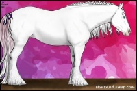 Horse Color:Watercolor Buckskin Pearl Splash Appaloosa