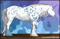 Horse Color:Watercolor Smoky Black Appaloosa 