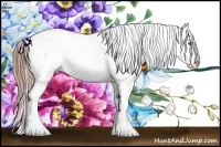Horse Color:Smoky Black Pearl Sabino Blanket