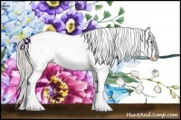 Horse Color:Chocolate Palomino Pearl Appaloosa 