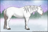 Horse Color:Brown Appaloosa