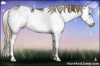 Horse Color:Liver Chestnut Sabino Splash Frame 