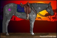 Horse Color:Smoky Black 