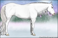 Horse Color:Silver Bay Sabino Splash Appaloosa 